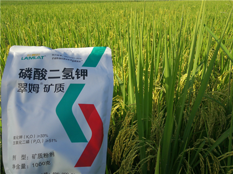 葉面肥，水稻灌漿肥，拉姆拉