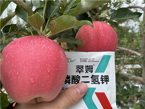 高鉀水溶肥，磷酸二氫鉀，拉姆拉，翠姆
