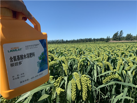 磷酸二氫鉀，拉姆拉，翠姆