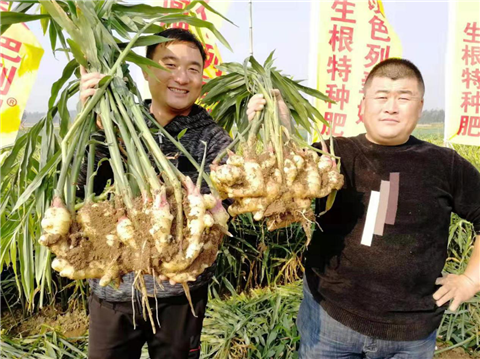 水溶肥，翠姆，拉姆拉