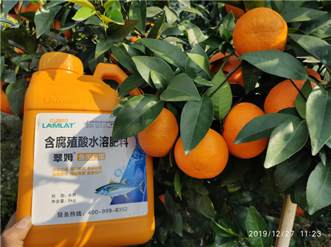 水溶肥，翠姆，拉姆拉