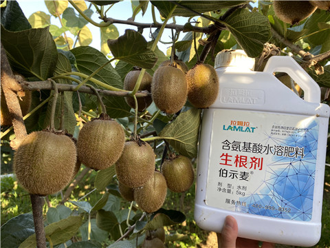 水溶肥，拉姆拉