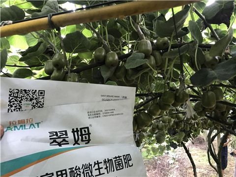 微生物菌劑，平衡顆粒復(fù)合肥，翠姆，拉姆拉