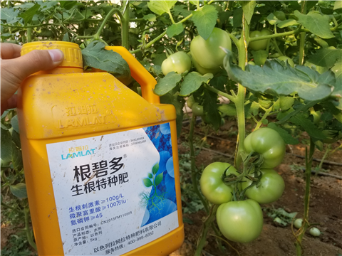 葉面肥，磷酸二氫鉀，微生物菌劑，翠姆，拉姆拉