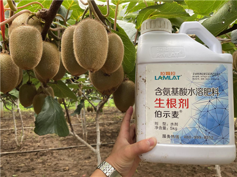 水溶肥，生根劑，微生物菌劑，伯示麥，拉姆拉
