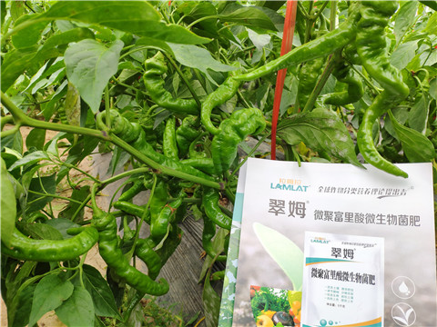 水溶肥，拉姆拉