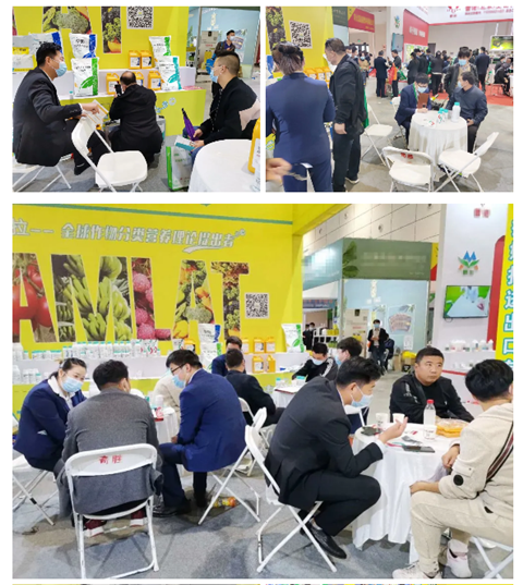 水溶肥，拉姆拉，翠姆