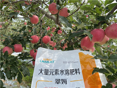 水溶肥，大量元素水溶肥，翠姆，拉姆拉