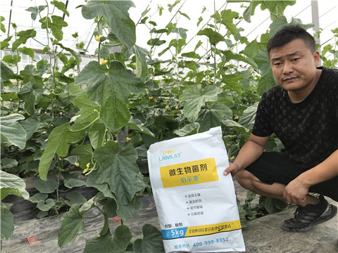 水溶肥，拉姆拉