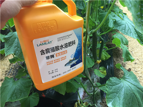 滴灌肥，拉姆拉，翠姆
