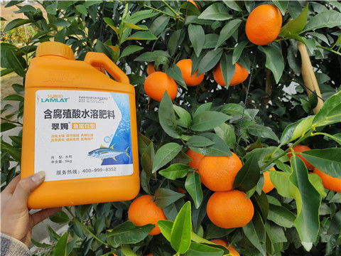 滴灌肥，拉姆拉，翠姆