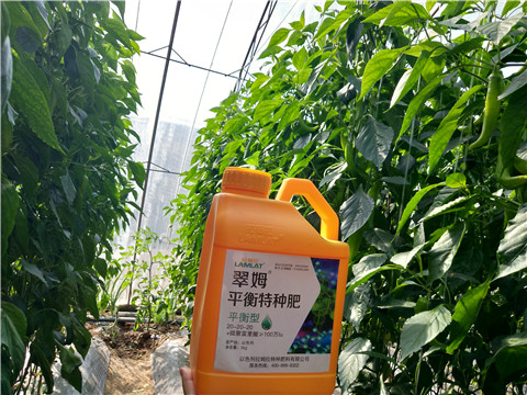 滴灌肥，拉姆拉，翠姆