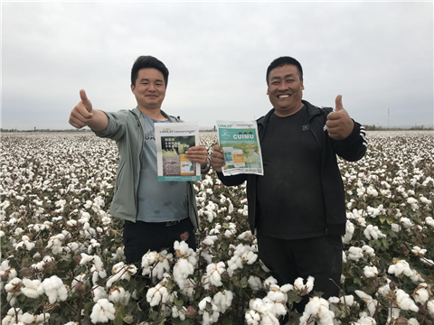 棉花，水溶肥，拉姆拉，翠姆