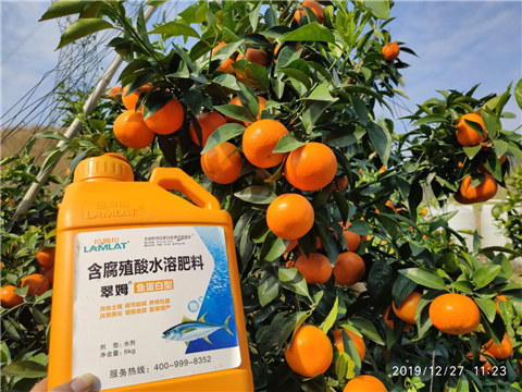 水溶肥，拉姆拉，翠姆