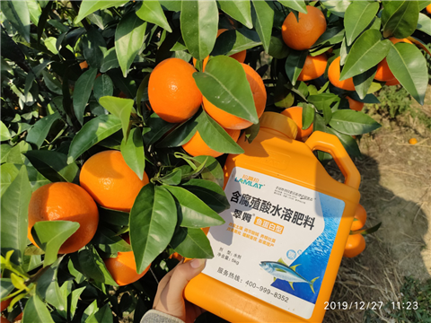 水溶肥，拉姆拉，翠姆