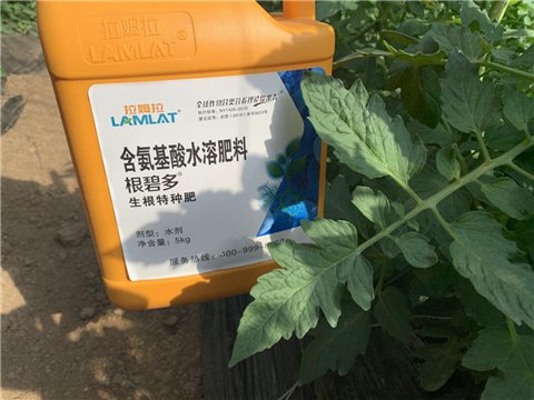 水溶肥，拉姆拉，翠姆
