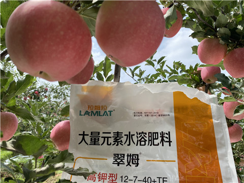 大量元素水溶肥，拉姆拉，翠姆