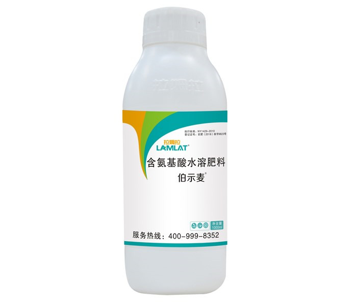 葉面肥，拉姆拉，伯示麥