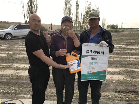 水溶肥，拉姆拉，翠姆