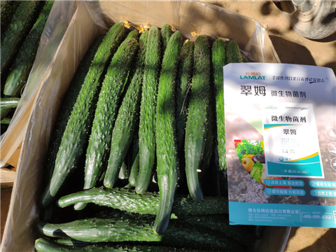微生物菌劑，拉姆拉，翠姆