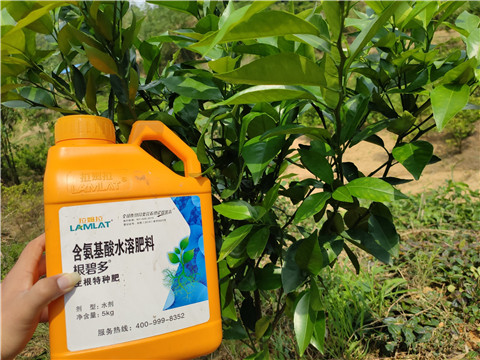 沖施肥，拉姆拉，翠姆