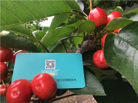 大量元素水溶肥，拉姆拉，翠姆
