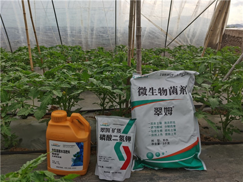 水溶肥，拉姆拉，翠姆