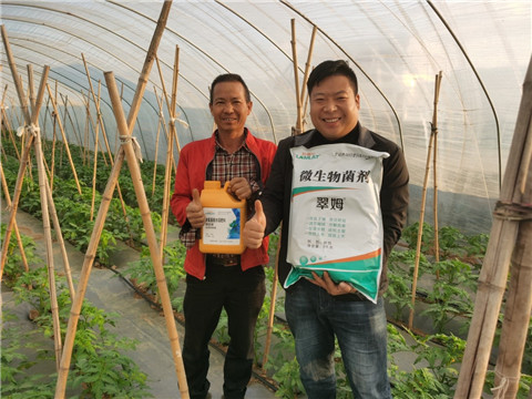 水溶肥，拉姆拉，翠姆