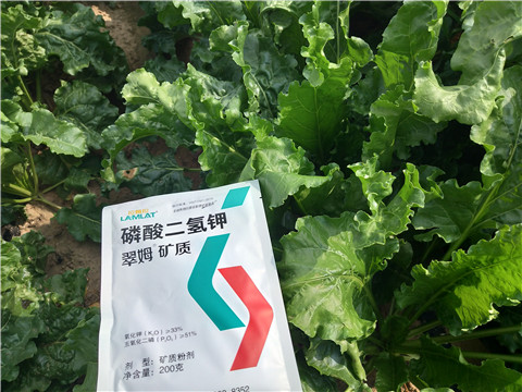 水溶肥，拉姆拉，翠姆