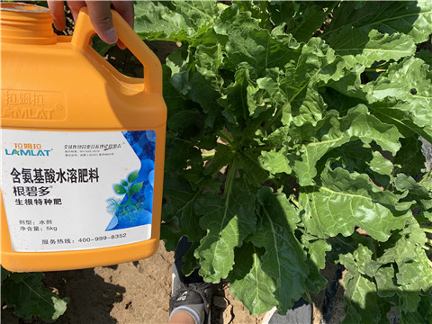 水溶肥，拉姆拉，翠姆