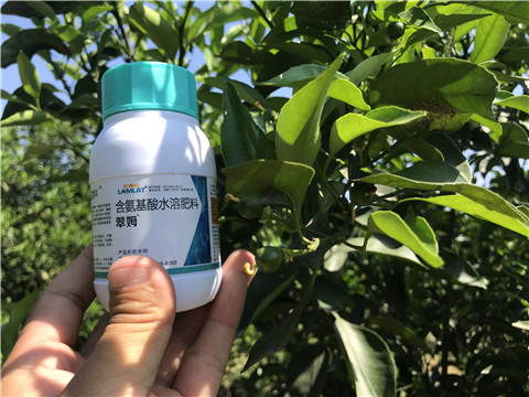 葉面肥，拉姆拉，翠姆