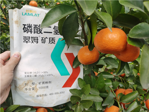 水溶肥，拉姆拉，翠姆