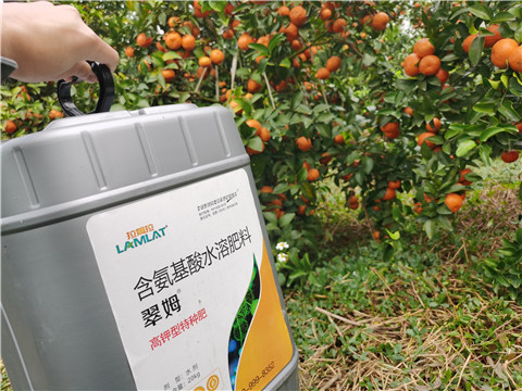 水溶肥，拉姆拉，翠姆