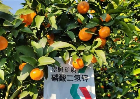 磷酸二氫鉀，拉姆拉，翠姆