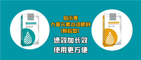 顆粒肥，拉姆拉，翠姆