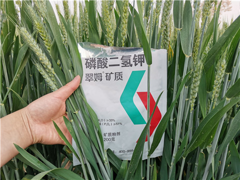 葉面肥，水溶肥，磷酸二氫鉀