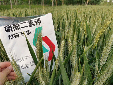 葉面肥，水溶肥，磷酸二氫鉀