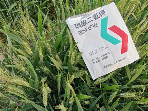 水溶肥，拉姆拉，翠姆