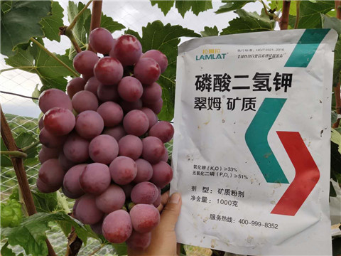 磷酸二氫鉀，拉姆拉，翠姆