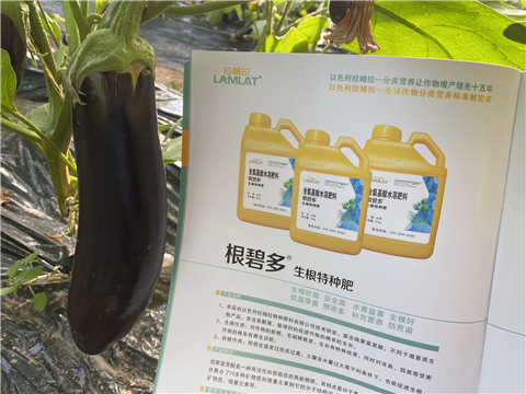 水溶肥，拉姆拉，翠姆