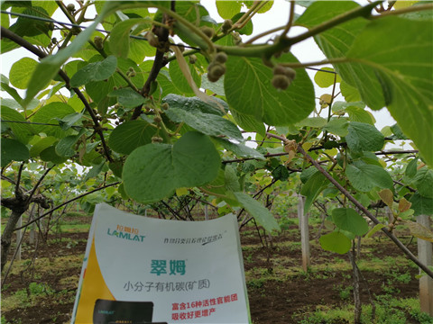 小分子有機碳，拉姆拉，翠姆