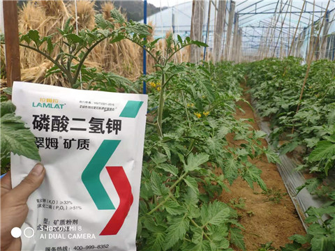 磷酸二氫鉀，拉姆拉，翠姆