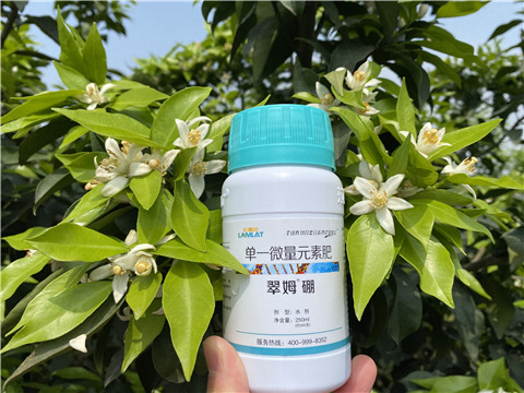 葉面肥，拉姆拉，翠姆
