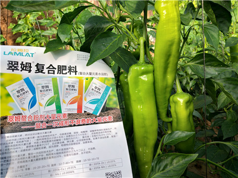 辣椒，拉姆拉，翠姆