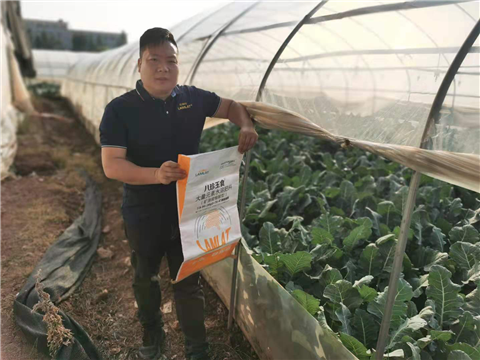 大量元素水溶肥，拉姆拉，翠姆
