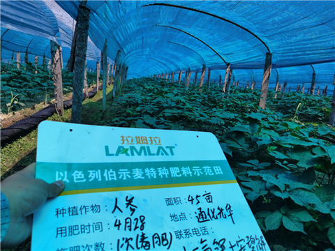 水溶肥，拉姆拉，翠姆