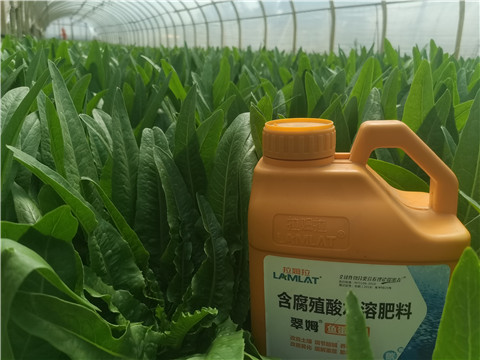 水溶肥，翠姆，拉姆拉