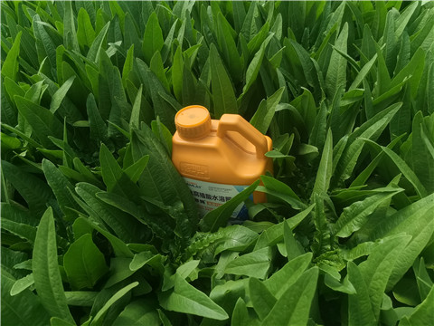 水溶肥，翠姆，拉姆拉