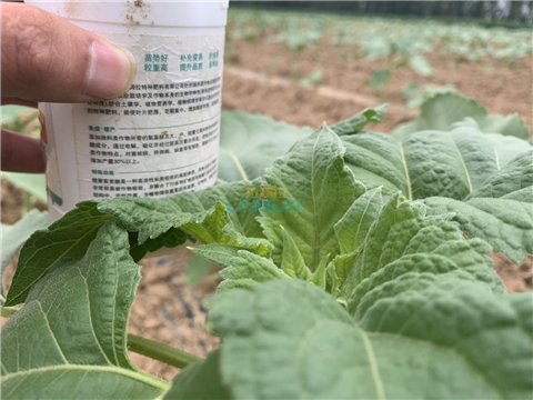 水溶肥，翠姆，拉姆拉