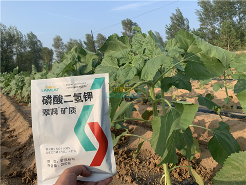 水溶肥，翠姆，拉姆拉